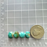 Small Mixed Freeform Fox Turquoise, Set of 4 Dimensions