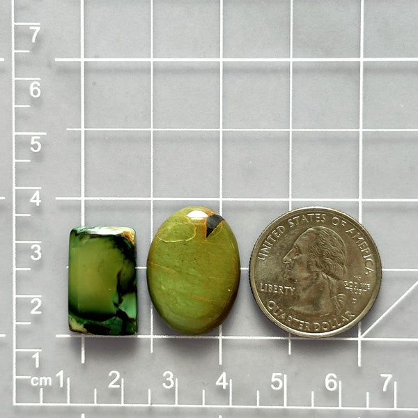Large Sea Green Mixed Crescent Lake Variscite, Set of 2 Dimensions
