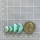 Small Sky Blue Freeform Namtso Lake Turquoise, Set of 4 Dimensions