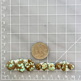 Small Sky Blue Freeform Number 8 Turquoise, Set of 9 Dimensions