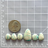 Small Faint Green Mixed Royston Turquoise, Set of 6 Dimensions