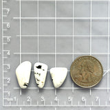 Medium White Freeform White Buffalo Dolomite, Set of 3 Dimensions