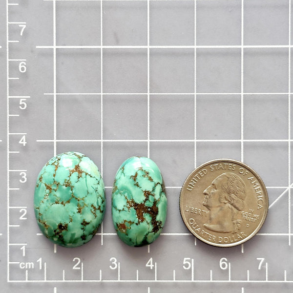 Large Sea Green Oval Namtso Lake Turquoise, Set of 2 Dimensions