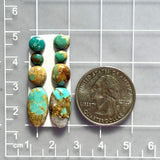 Small Mixed Mixed Royston Turquoise, Set of 8 Dimensions