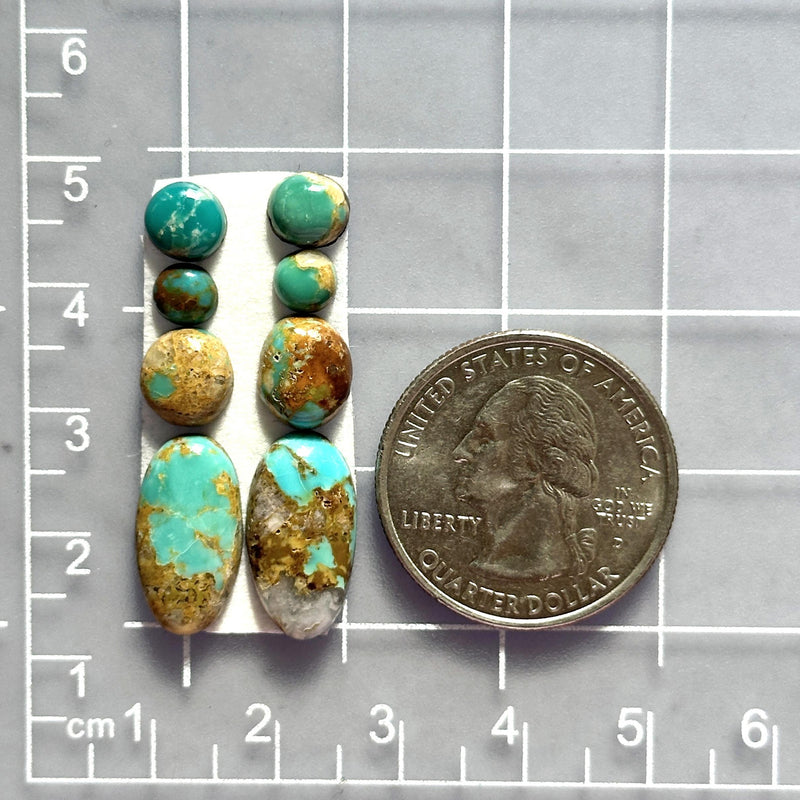 Small Mixed Mixed Royston Turquoise, Set of 8 Dimensions