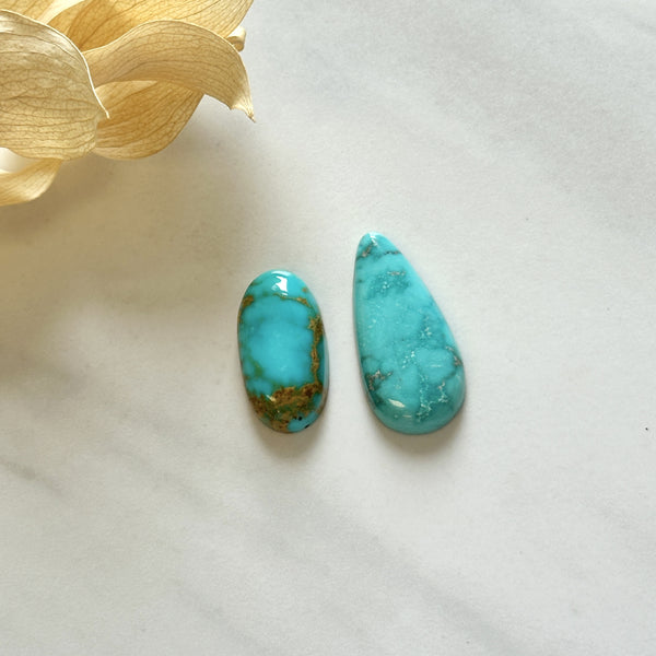 Large Sky Blue Mixed Crescent Lake Variscite, Set of 2 Background