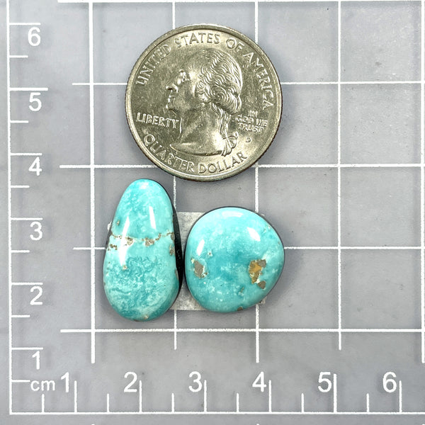 Medium Sky Blue Freeform Carico Lake Turquoise, Set of 2 Dimensions