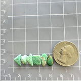 Small Mint Green Mixed Crescent Lake Variscite, Set of 6 Dimensions