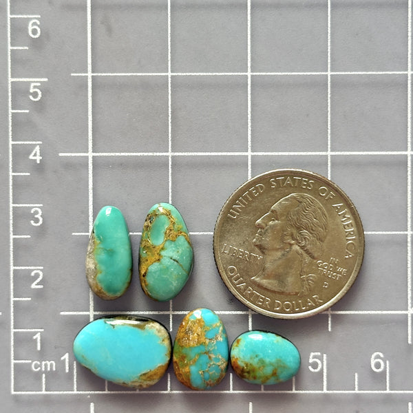 Large Sky Blue Mixed Number 8 Turquoise, Set of 5 Dimensions