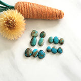 Small Mixed Mixed Royston Turquoise, Set of 13 Background