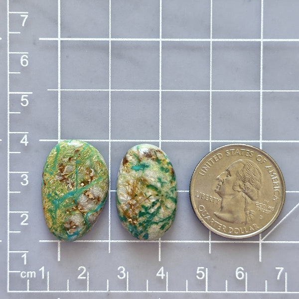 Large Sea Green Mixed Fox Turquoise, Set of 2 Dimensions