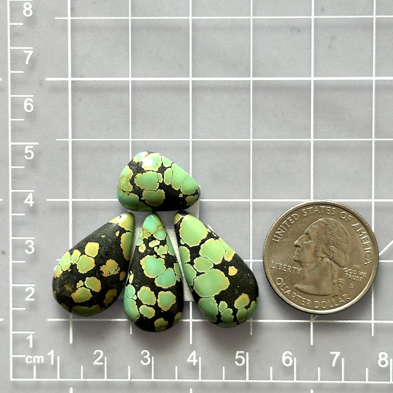 Medium Bamboo Green Teardrop Treasure Mountain Turquoise, Set of 4 Dimensions