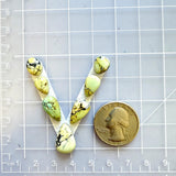 Small Yellow Teardrop Crescent Lake Variscite, Set of 7 Dimensions