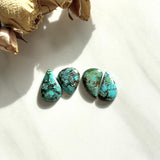 Medium Sky Blue Teardrop Wild Horse Turquoise, Set of 4 Background