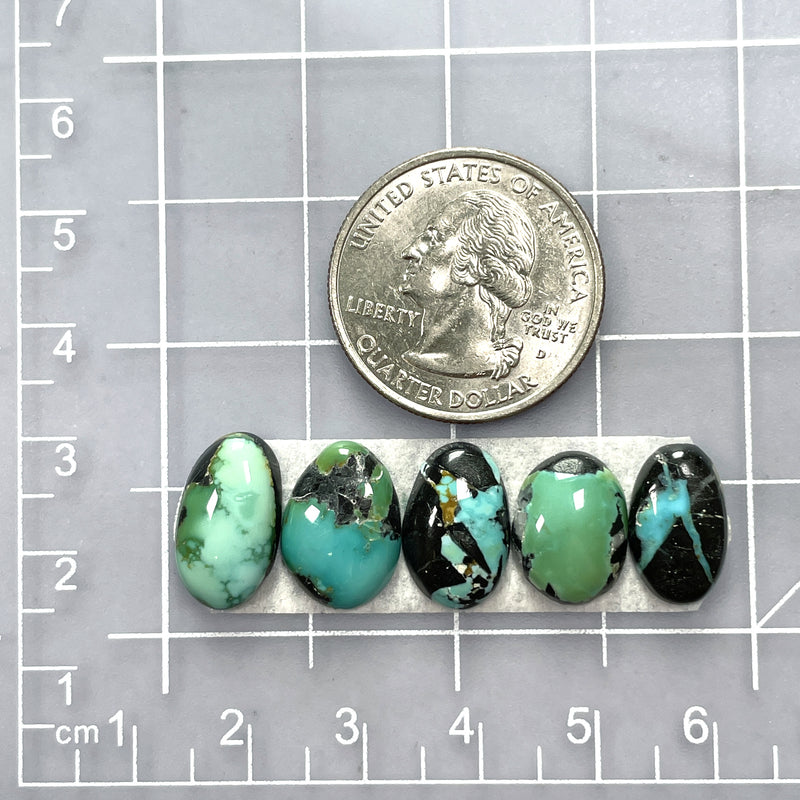 Small Mixed Freeform Blue Moon Turquoise, Set of 5 Dimensions