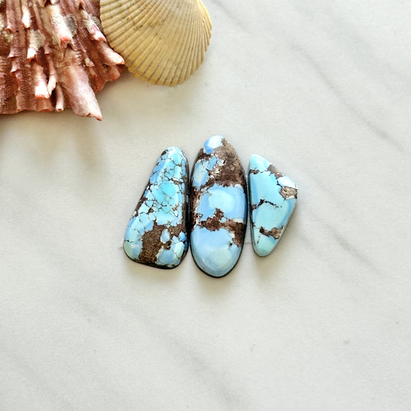 Medium Sky Blue Freeform Golden Hills Turquoise, Set of 3 Background