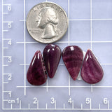 Medium Purple Teardrop Spiny Oyster, Set of 4 Dimensions