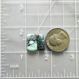 Small Sky Blue Mixed Yungai Turquoise, Set of 2 Dimensions