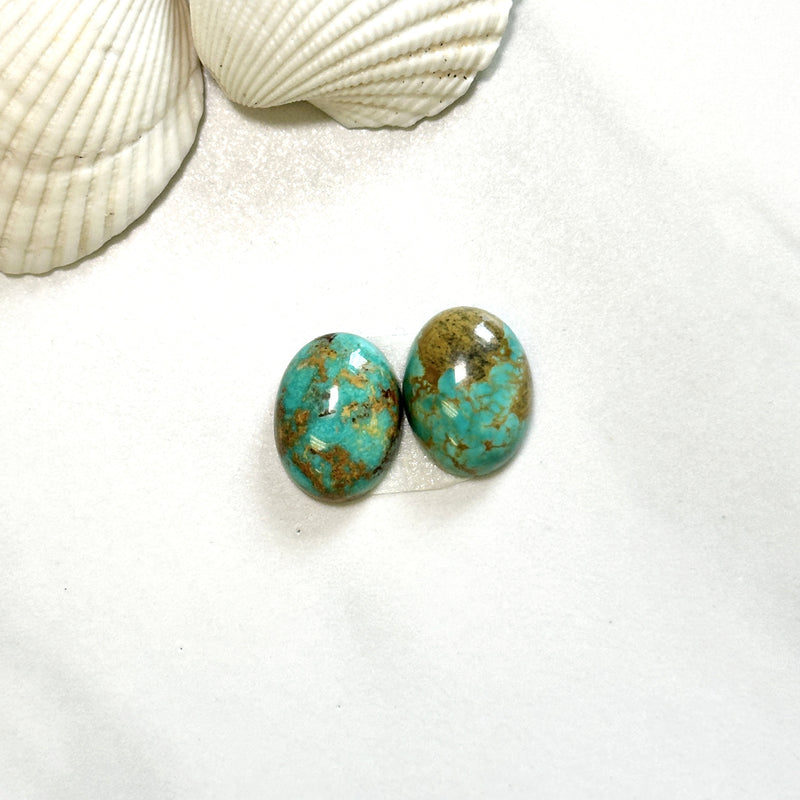 Medium Sea Green Oval Crescent Lake Variscite, Set of 2 Background