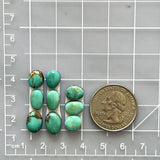 Small Lime Green Freeform Kingman Turquoise, Set of 9 Dimensions