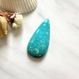 Large Sky Blue Teardrop Fox Turquoise Background