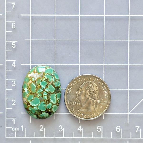 Large Bamboo Green Oval Bamboo Mountain Turquoise Dimensions