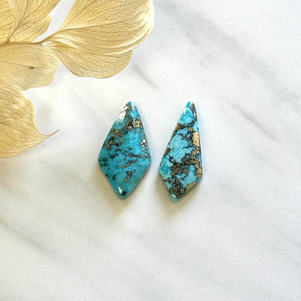 Large Sky Blue Shield Ithaca Peak Turquoise, Set of 2 Background