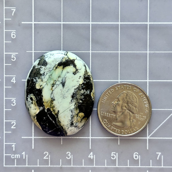 Large Faint Green Oval Crescent Lake Variscite Dimensions
