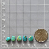 Small Sky Blue Freeform Mixed Turquoise, Set of 5 Dimensions