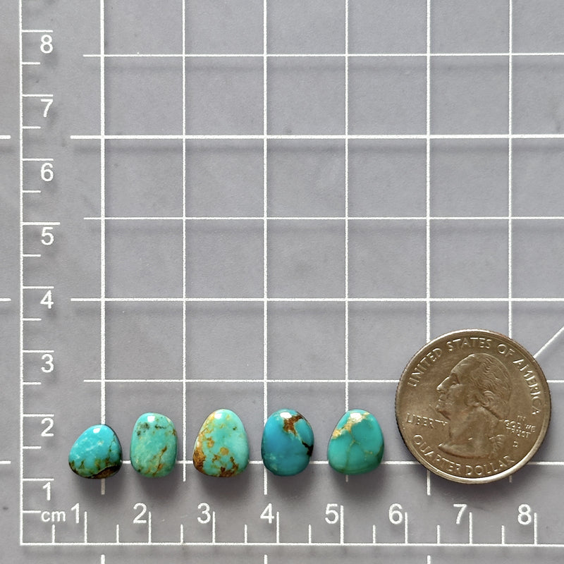 Small Sky Blue Freeform Mixed Turquoise, Set of 5 Dimensions