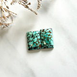 Medium Sea Green Bar Namtso Lake Turquoise, Set of 2 Background