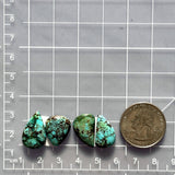 Medium Sky Blue Teardrop Wild Horse Turquoise, Set of 4 Dimensions