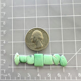 Small Mint Green Mixed Crescent Lake Variscite, Set of 7 Dimensions