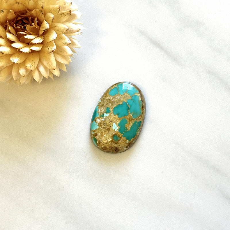 Large Sky Blue Oval Royston Turquoise Background