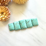 Medium Mint Green Bar Namtso Lake Turquoise, Set of 5 Background
