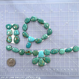 Small Mixed Mixed Tyrone Turquoise, Set of 31 Dimensions