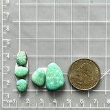 Small Sky Blue Mixed Lone Mountain Turquoise, Set of 5 Dimensions