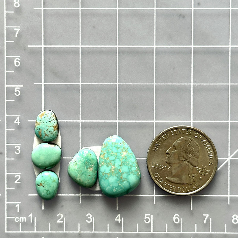 Small Sky Blue Mixed Lone Mountain Turquoise, Set of 5 Dimensions