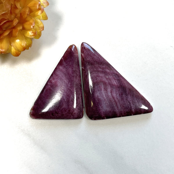 Large Purple Triangle Spiny Oyster, Set of 2 Background