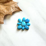 Small Sky Blue Mixed Sleeping Beauty Turquoise, Set of 9 Background