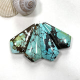 Medium Mixed Shield Mixed Turquoise, Set of 4 Background