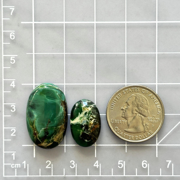 Large Deep Green Oval Crescent Lake Variscite, Set of 2 Dimensions