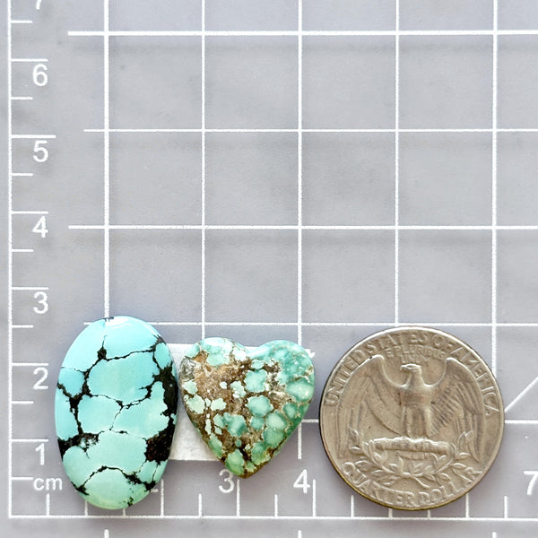 Medium Sky Blue Mixed Mixed Turquoise, Set of 2 Dimensions