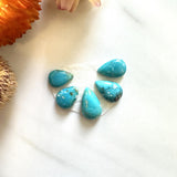Small Sky Blue Teardrop Fox Turquoise, Set of 5 Background