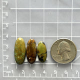 Medium Earth Brown Oval Treasure Mountain Turquoise, Set of 3 Dimensions