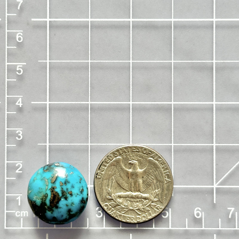 Large Sky Blue Round Ithaca Peak Turquoise Dimensions
