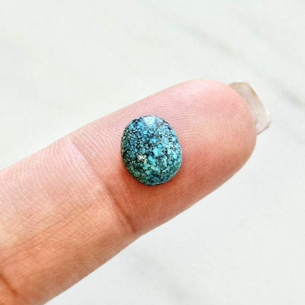 Small Sky Blue Oval Lander Blue Turquoise Background