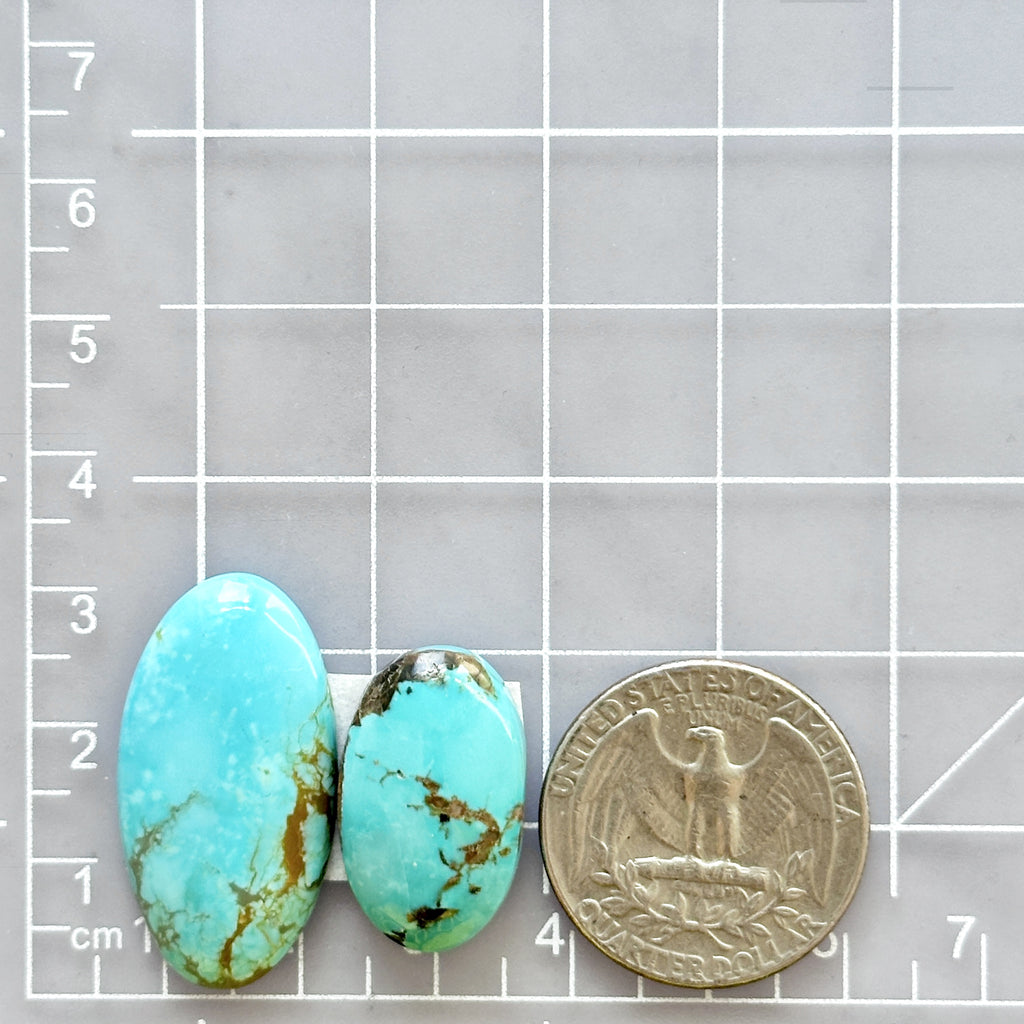 Large Sky Blue Oval Number 8 Turquoise, Set of 2 - Turquoise Moose