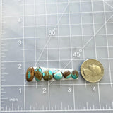 Small Sky Blue Mixed Number 8 Turquoise, Set of 6 Dimensions