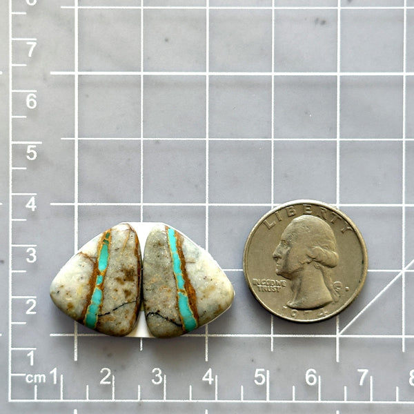 Large Sky Blue Freeform Royston Turquoise, Set of 2 Dimensions